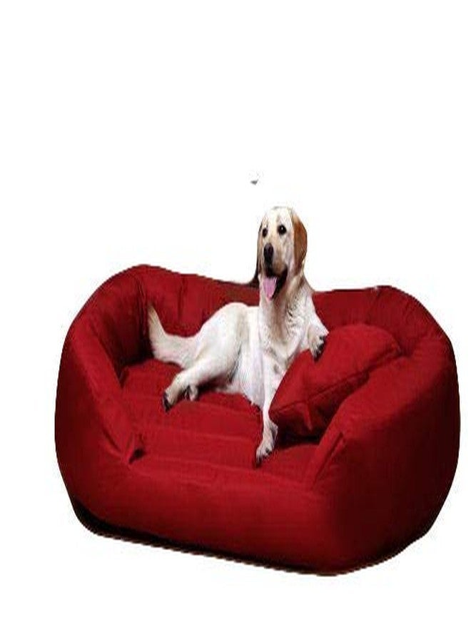 PETITUDE سرير فاخر ومتين للكلاب/القطط من PETITUDE، مصنوع من البوليستر الناعم بلونين (متوسط) - Image 4